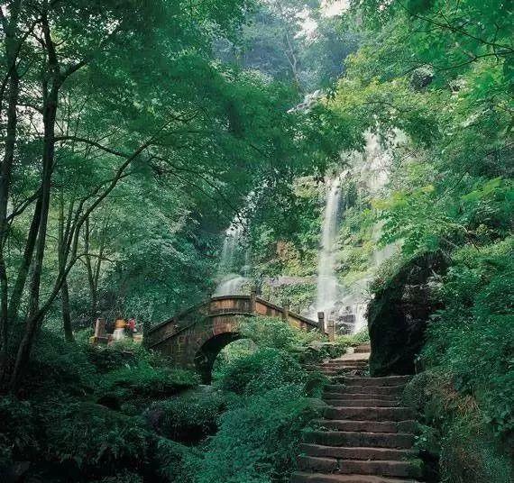 逃离废弃的卡车场